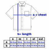 hai check shirt