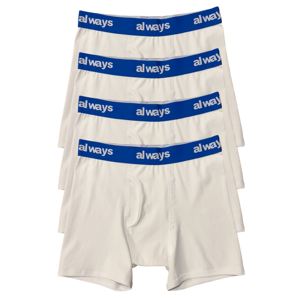 4pack cozy cotton briefs - blue band