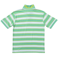 educated polo - mint green stripe
