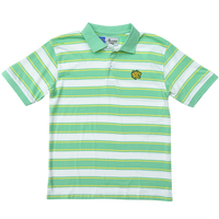 educated polo - mint green stripe