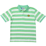 educated polo - mint green stripe
