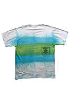 turtle hand dye t-shirt blue green